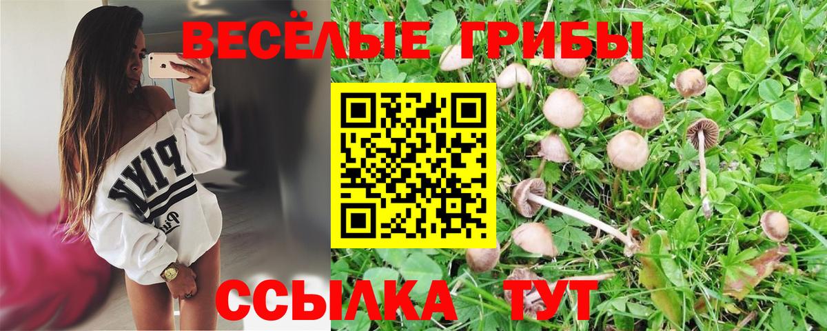 как найти закладки  Вход с VPN  Кропоткин  Псилоцибиновые грибы Psilocybe 